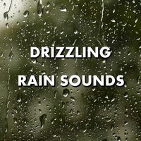 Windy Outside Rainfall Sounds - Deep Sleep