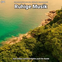 Ruhige Musik pt. 74 - Entspannungsmusik Sebastian Noiro & Schlafmusik & Entspannungsmusik