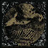Burn Well - Wake