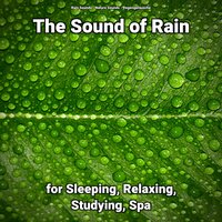 The Sound of Rain for Sleeping and Relaxing Pt. 51 - Nature Sounds & Rain Sounds & Regengeräusche