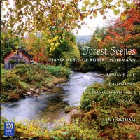 Waldszenen (Forest Scenes), Op. 82: VI. Herberge (Inn): VI. Herberge (Inn) - Ian Holtham & Роберт Шуман