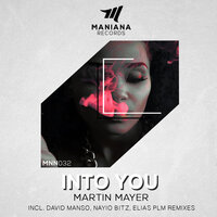 Into You - Martin Mayer