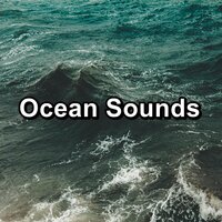 Rain - Rain Sounds & Ocean Sounds Collection & Calming Waves