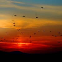 Astral Dreaming - Sounds Of Nature Relaxation