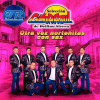 Ramito de Violetas - Seleccion Costa Azul De Delfino Sierra