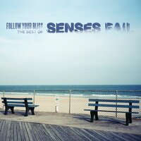 The Fire - Senses Fail