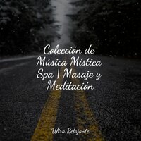 Rayo De Sol Calmante - Sonidos de la Naturaleza & Canciones de Cuna Relax & Sonido Del Bosque y Naturaleza