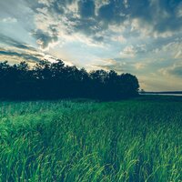 Sounds | Sleep | Calm & Soulful Music | Chilling Out