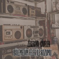 Baharım Soldu - Zekeriya Civelek