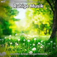 Achtsamkeit unter Linden - Entspannungsmusik & Schlafmusik & Entspannungsmusik Abteilung