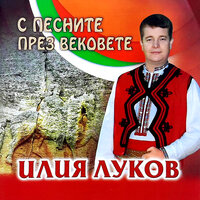 Море пиле - Илия Луков