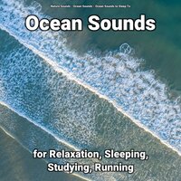 Ocean Beach to Sleep - Nature Sounds & Ocean Sounds & Ocean Sounds to Sleep To