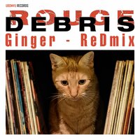 Ginger - Debris Rouge