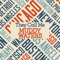 Please Have Mercy - Muddy Waters