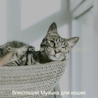 Атмосфера (Подчеркнутые кошки) - блестящий Музыка для кошек