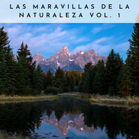 Flores Floreciendo - Sonidos de la Naturaleza Relajacion & Música de relajación profunda & Música Instrumental Maestro