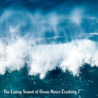 The Easing Sound of Ocean Waves Crashing, Pt. 20 - Steve Brassel