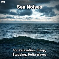 Sea Noises Pt. 45 - Ocean Currents & Nature Sounds & Ocean Sounds