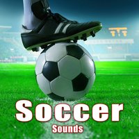 Goalie Catches Soccer Ball 3 - Sound Ideas