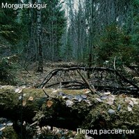 Перед рассветом - Morgunskógur