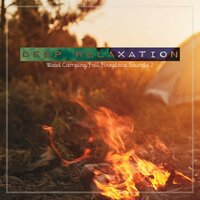 Wood Camping Fall Fireplace Sounds, Pt. 18 - Craig Hewitt