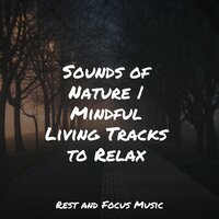 An Afternoon Nap - Serenity Spa Music Relaxation & Soothing Chill Out For Insomnia & Classical New Age Piano Music