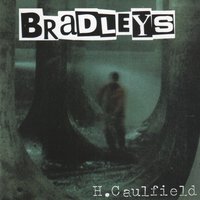 Schatten - Bradleys