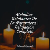 Melodías Relajantes De La Naturaleza | Relajación Completa