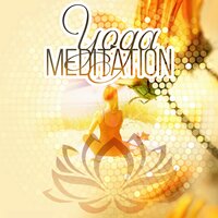 Yoga for Beginners - Yoga Meditation Oasis