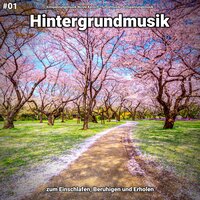 Bunte Emotionen - Entspannungsmusik Nicole Kensch & Schlafmusik & Entspannungsmusik
