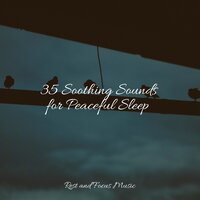 35 Soothing Sounds for Peaceful Sleep