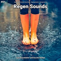 Regen Sounds, pt. 40 - Regen zum Einschlafen ohne Musik & Regengeräusche & Naturgeräusche