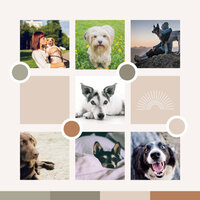Nurturing (Morning Walks) - Relaxation Music For Dogs