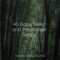 40 Baby Sleep and Meditation Songs