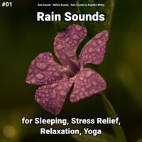 Water Drops to Calm a Crying Baby - Rain Sounds & Nature Sounds & Rain Sounds by Angelika Whitta