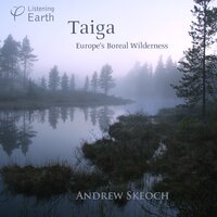 Edge of the Peatmarsh - Andrew Skeoch