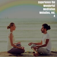 Experience the Wonderful Meditation Melodies, Vol. 4
