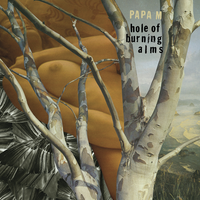 Turn Turn Turn - Papa M