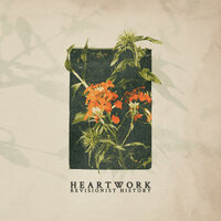 Outlines - Heartwork