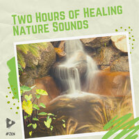 2 Hours of Healing Nature Sounds