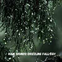 Rain for Peace - Spa & Rain Sounds & Spa Music Relaxation