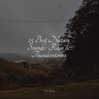 25 Best Nature Sounds: Rain & Thunderstorms