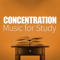 Concentration Music for Study