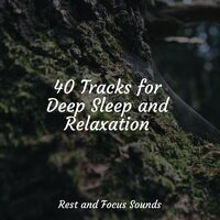 Sleep Sounds - Deep Sleep Relaxation & Wellness & Soothing Chill Out For Insomnia