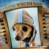 Time to Sleep - Pet Music Academy