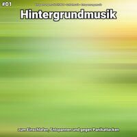 Hintergrundmusik Teil 40 - Entspannungsmusik Elfi Niel & Schlafmusik & Entspannungsmusik