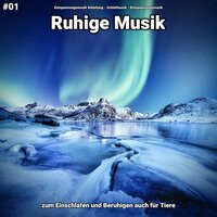 Vipassana in der Hütte - Entspannungsmusik & Schlafmusik & Entspannungsmusik Abteilung