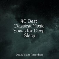 Siesta Sessions - Nature Sound Series & Musica Para Niños & Rest & Relax Nature Sounds Artists