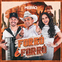 Rei da Putaria - Forró Meirão