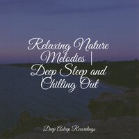Relaxing Nature Melodies | Deep Sleep and Chilling Out